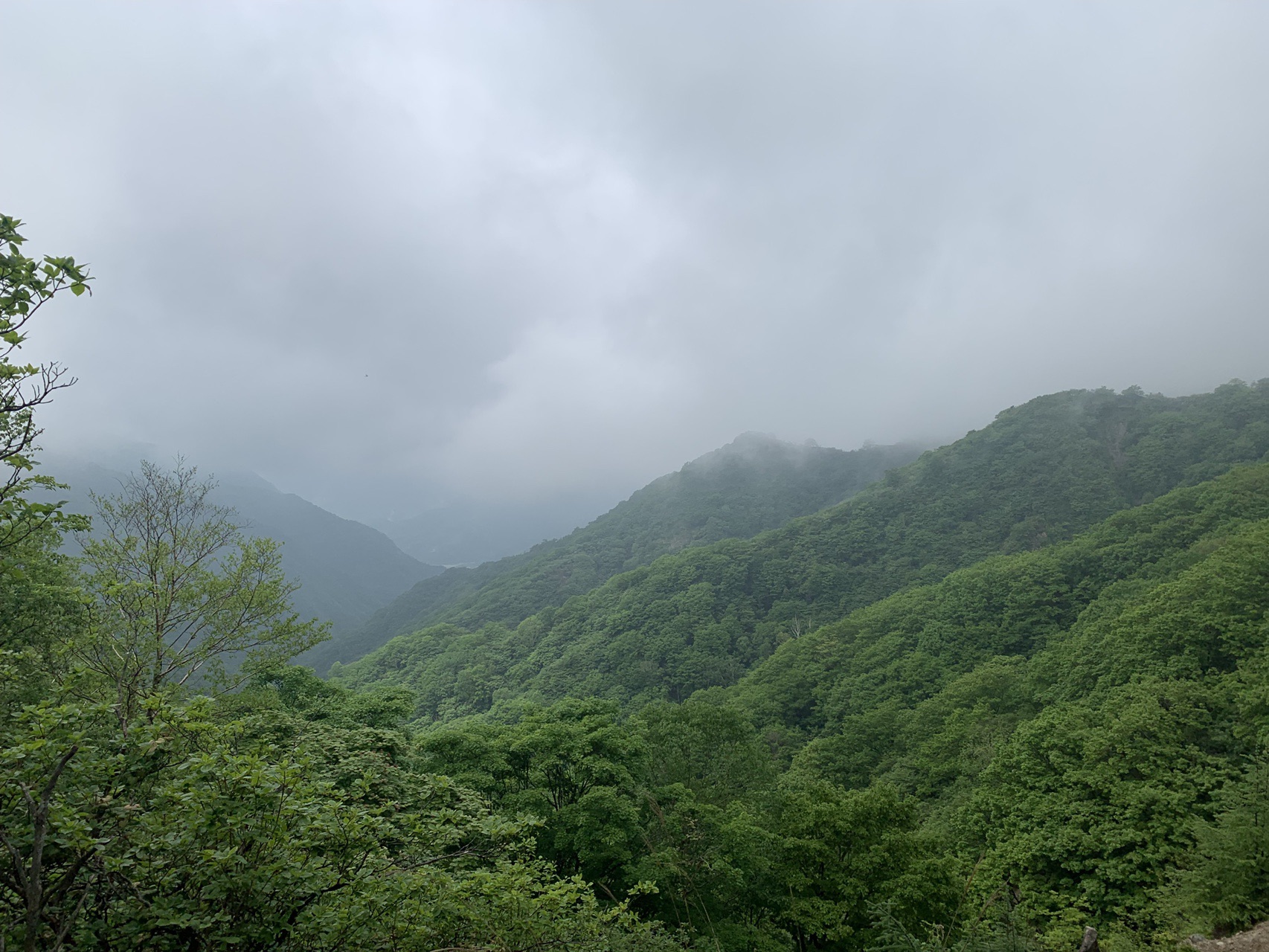 社山 / NAMIさんの社山・半月山の活動データ YAMAP / ヤマップ
