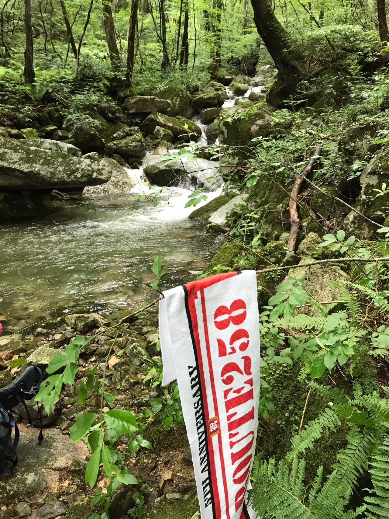 キャンプで登山 寂地峡キャンプ場 07 15 やまねこラチャ さんの小五郎山の活動データ Yamap ヤマップ