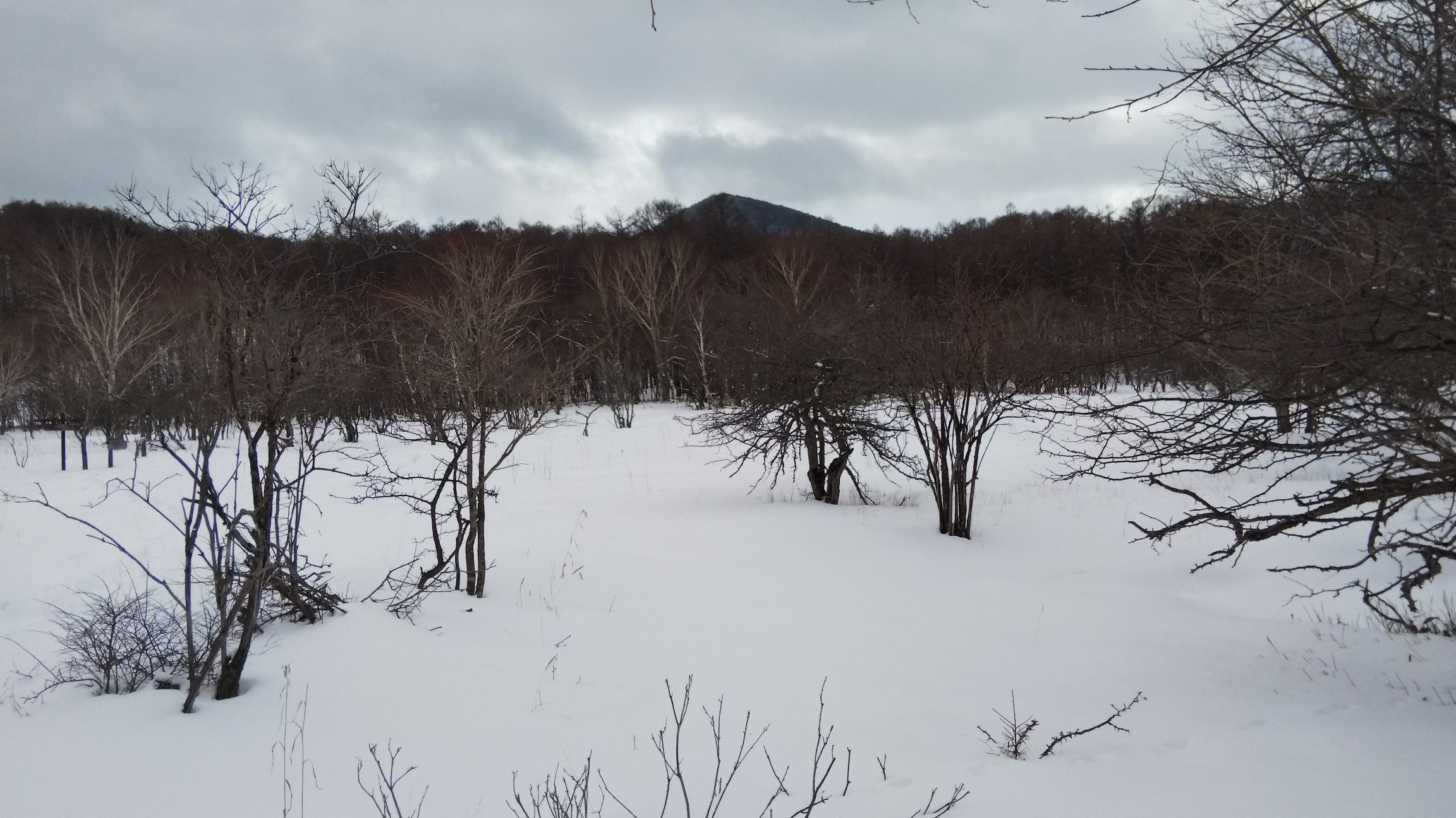 下りは自分のトレースがあるので早い早い早い～あっという間に枯木沼～