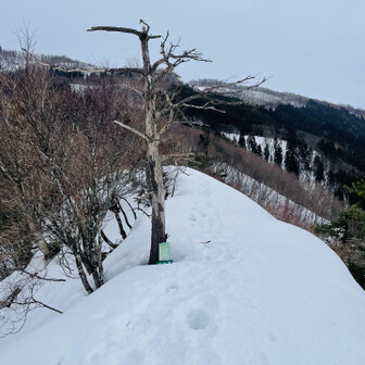 蘇武岳 七合目は馬ノ背の標識有り👍