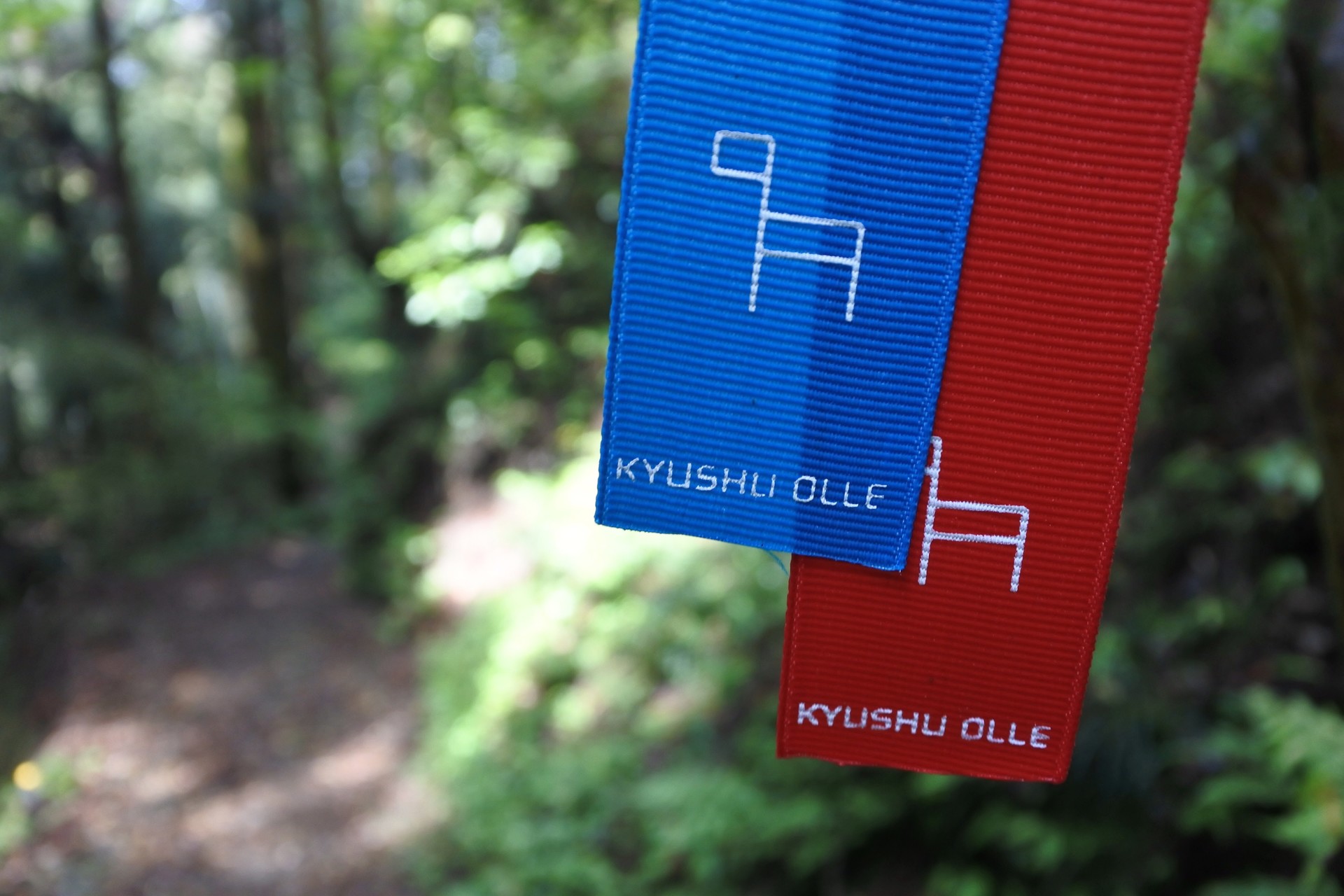 サークル登山 高良山 Yamap仲間と遭遇 ふーおいちゃんさんの九州オルレ 久留米 高良コースの活動データ Yamap ヤマップ