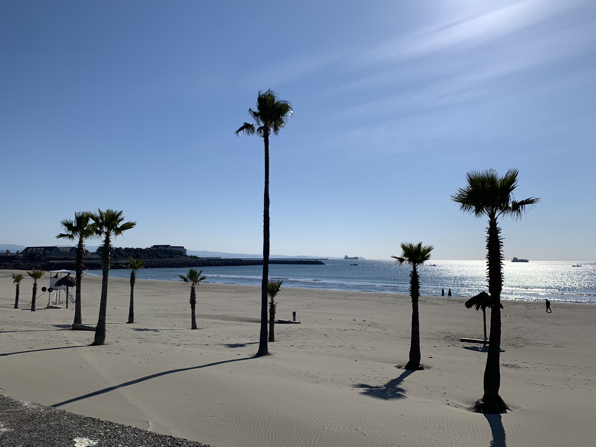 磯の浦 河西緑化公園を散歩 Greenmoonきくちゃんさんのウォーキングの活動日記 Yamap ヤマップ