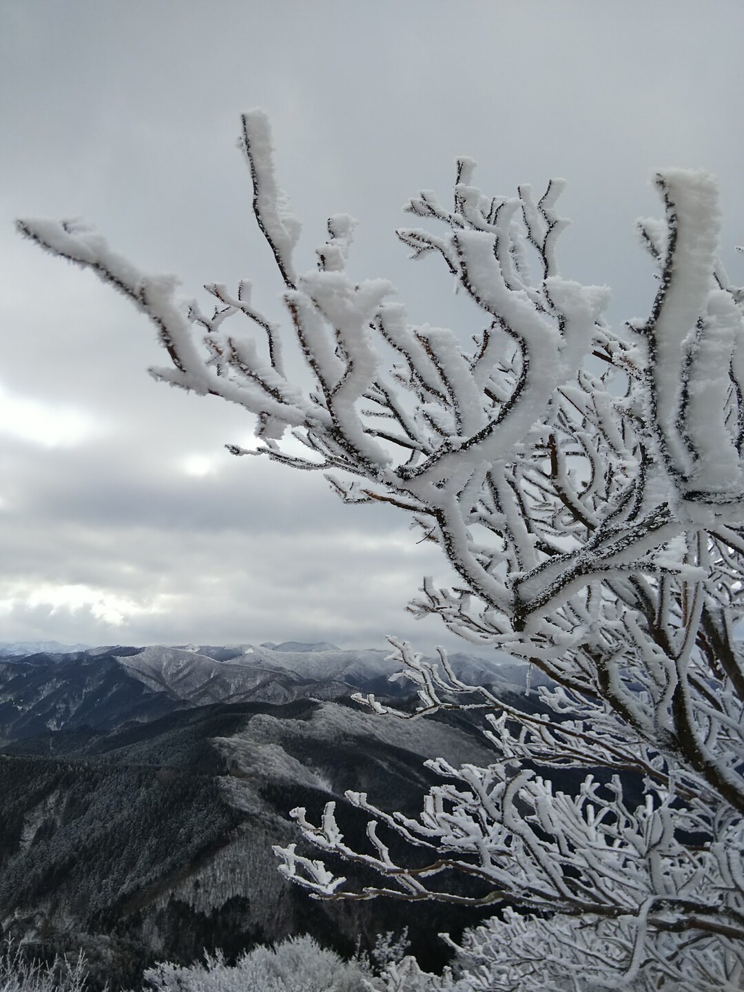 霧氷バス 高見山 きっしゃんさんの高見山 黒石山 天狗山の活動データ Yamap ヤマップ