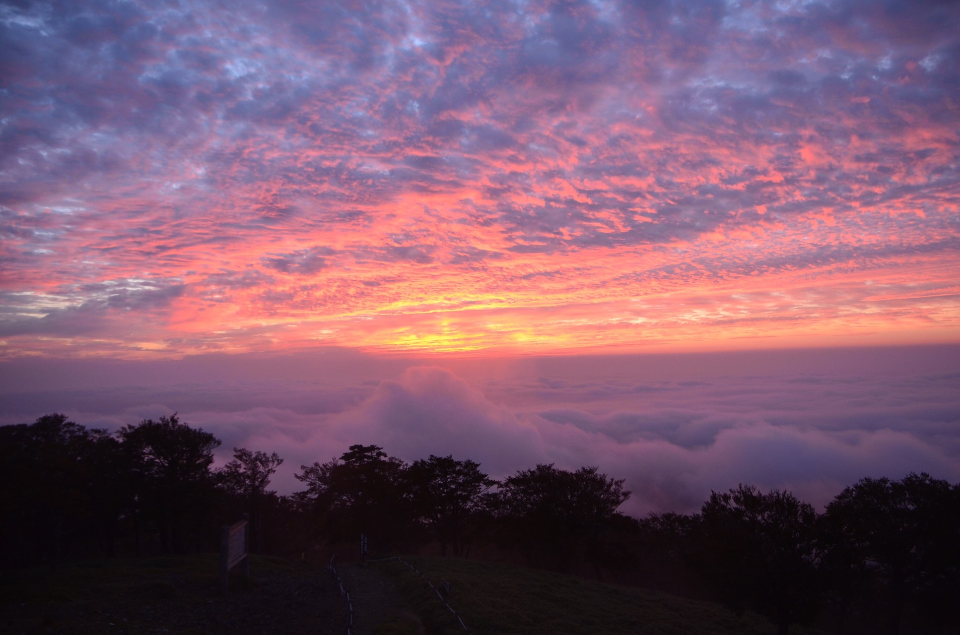 大台ケ原 日の出 めっちゃ綺麗な雲海も見れた Tomoさんの大台ヶ原山 日出ヶ岳 大杉谷の活動データ Yamap ヤマップ