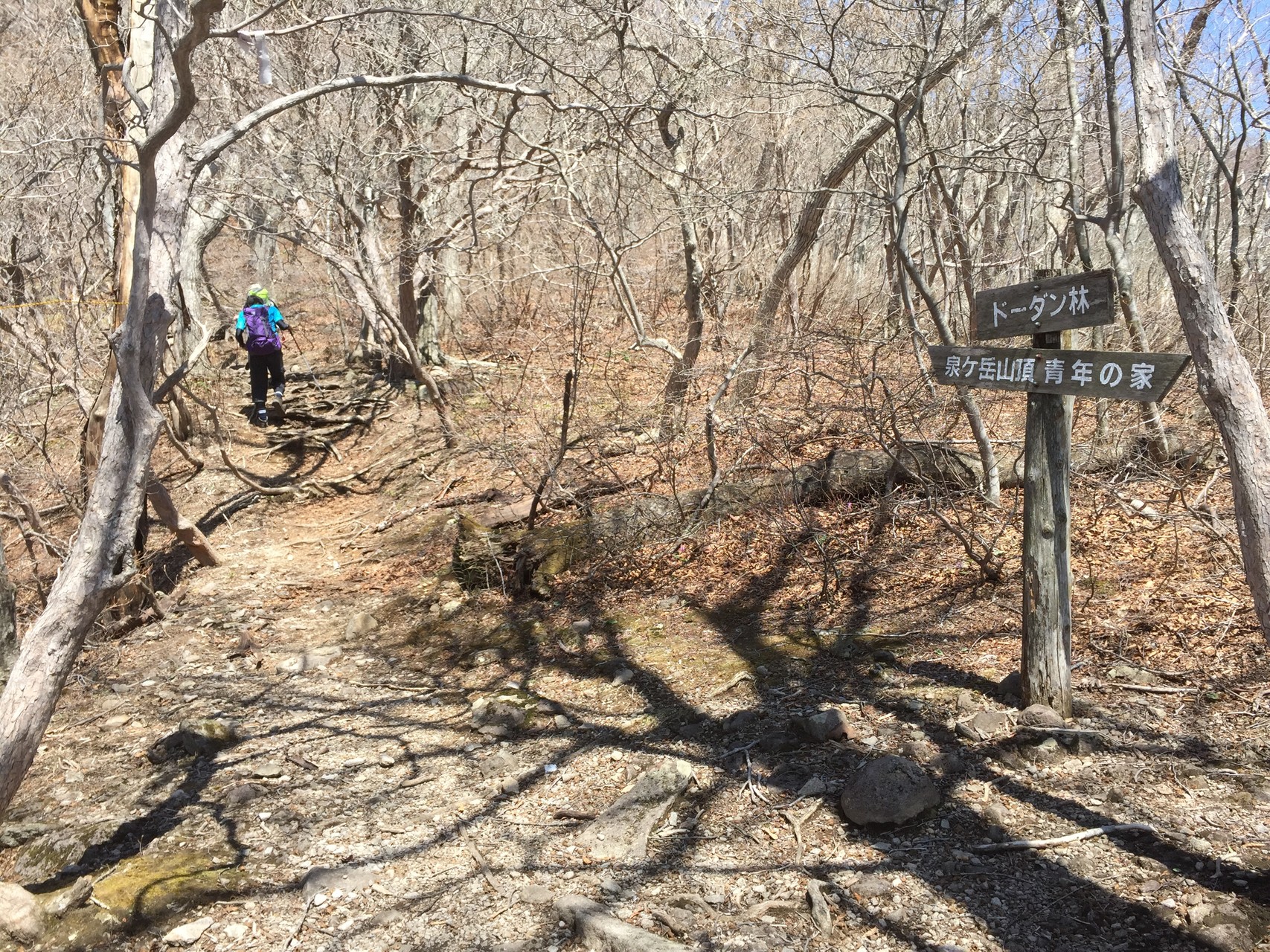 初めての泉ヶ岳 仙台市 みーすけさんの船形山 御所山 泉ヶ岳 蛇ヶ岳の活動日記 Yamap ヤマップ