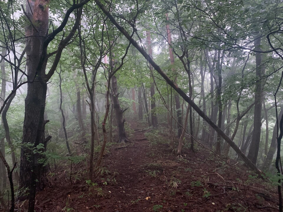 高土山登山道入口-高土山 周回コースの地図・登山ルート・登山口情報 | YAMAP / ヤマップ