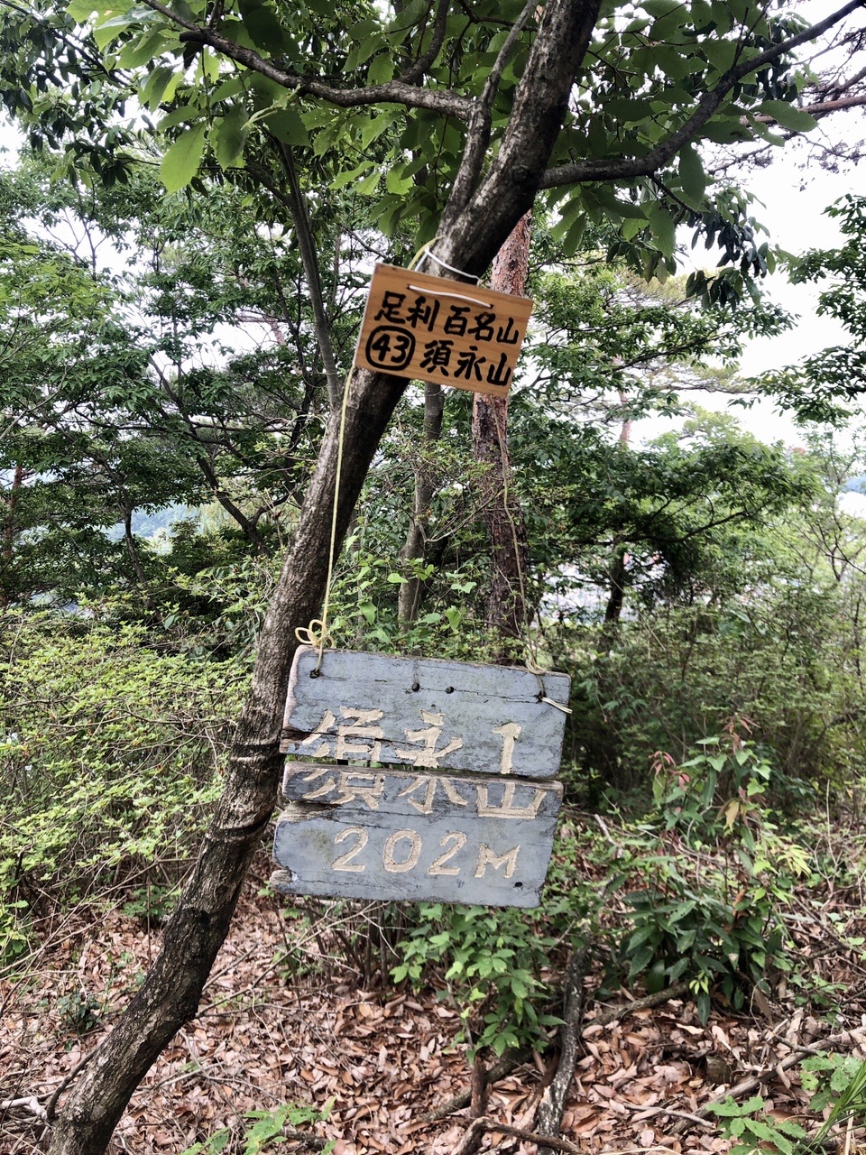 両崖山・仙人ヶ岳・石尊山 須永山