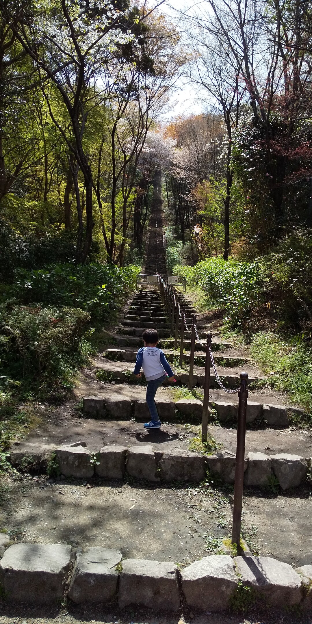 二上山ふるさと公園の階段 スタコラ登る あゆさんのモーメント Yamap ヤマップ