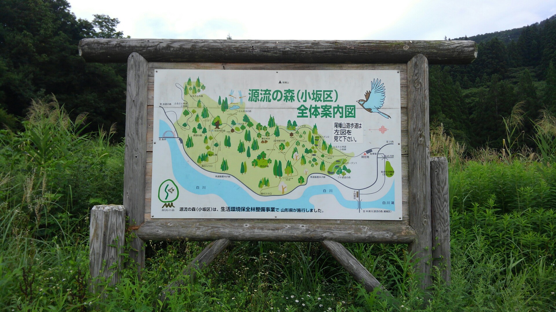 源流の森 小板区 遊歩道散策 山美さんの飯豊町の活動データ Yamap ヤマップ