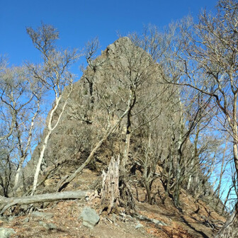鹿納山を一度降りて巻いて来ました😅わたしの正解はこれでしたね🙄