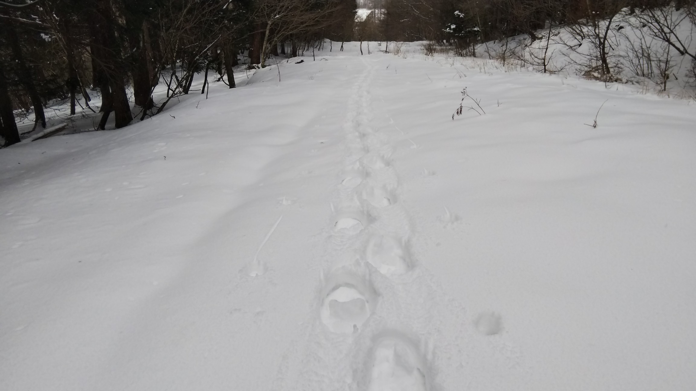 ワカンでもかなり沈みます