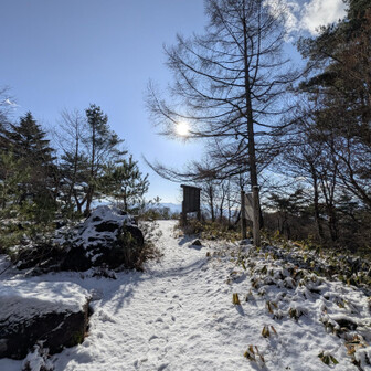 野鳥鳴き声がたーーくさん聞こえます
(ﾐﾂｶﾗﾅｲｹﾄ)