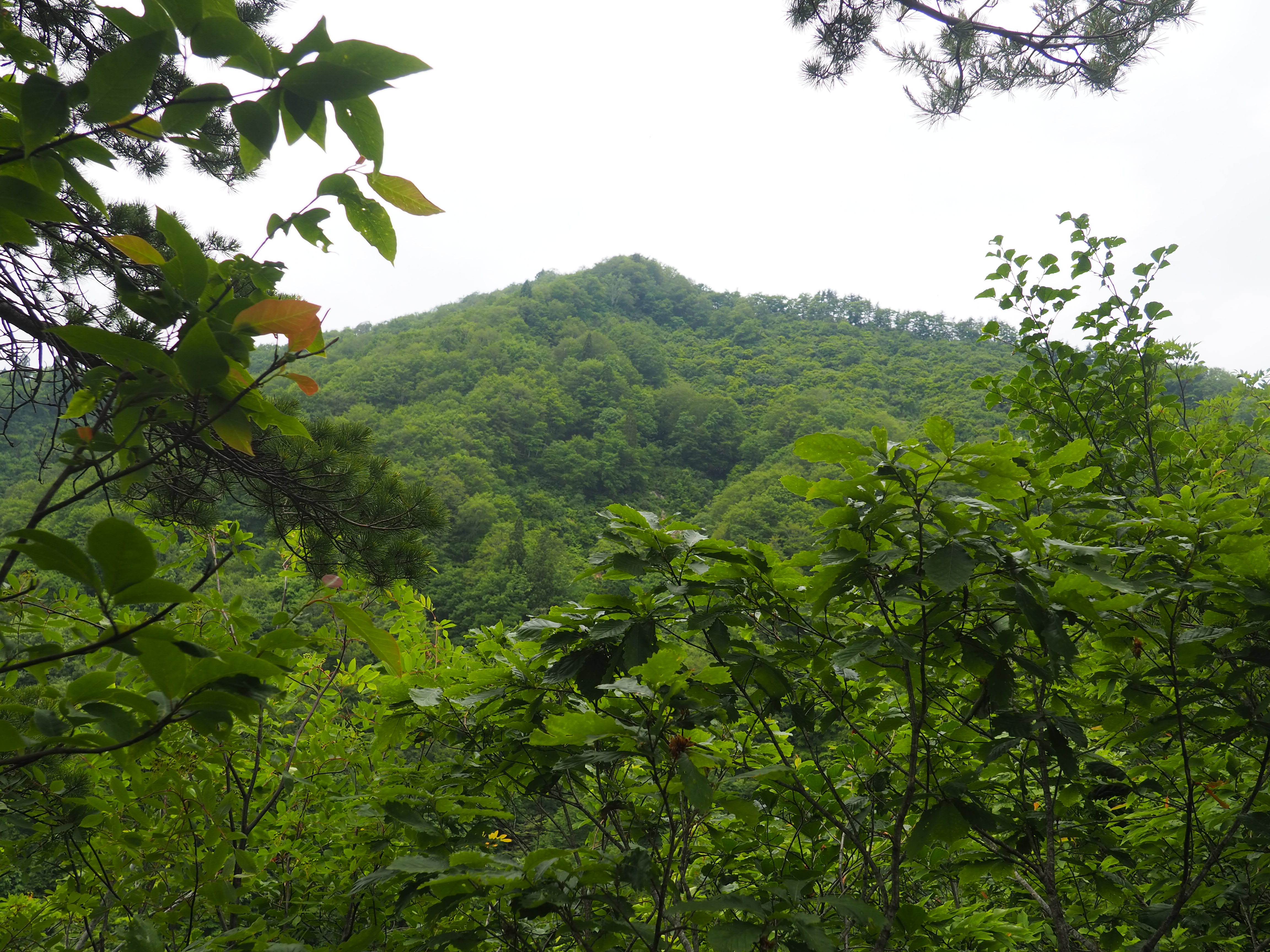 黒男山 Cococharlieさんの御前ヶ遊窟 井戸小屋山の活動データ Yamap ヤマップ