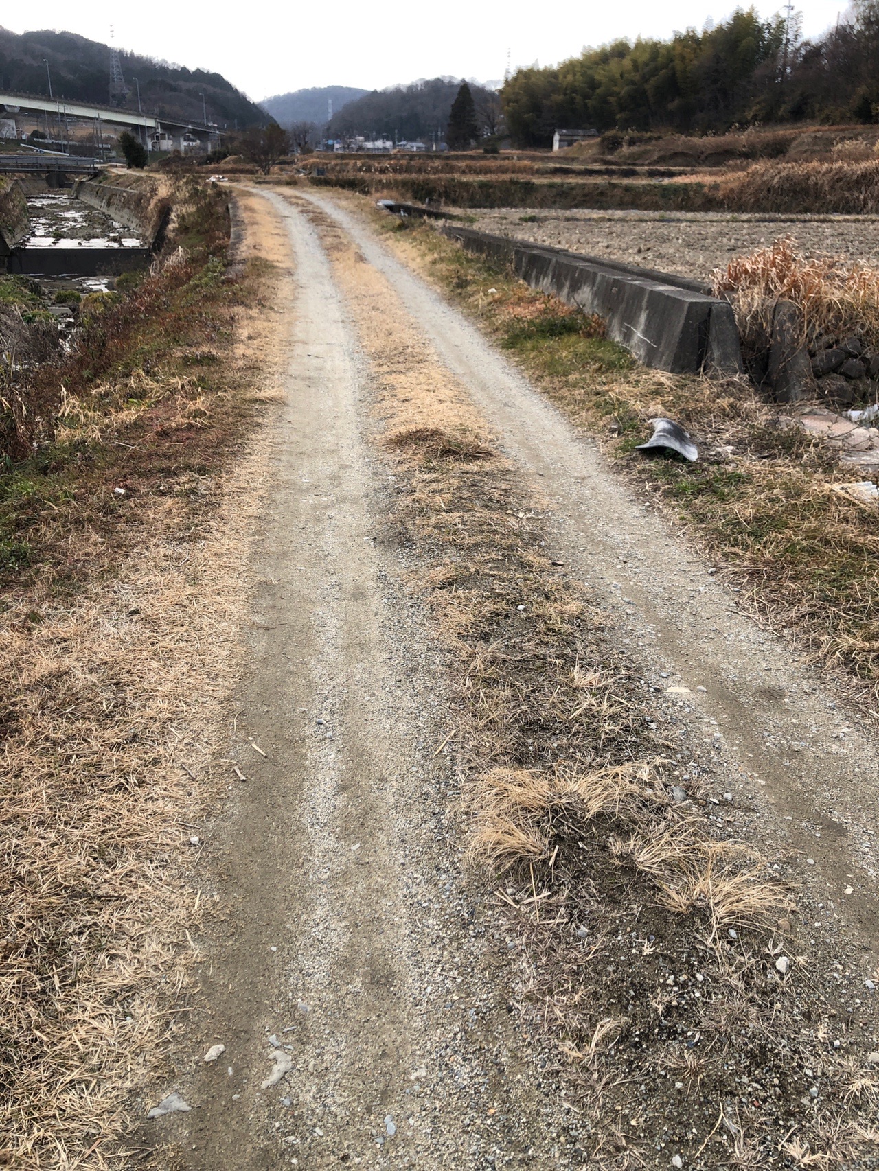 屯鶴峯 ひで３さんの金剛山 二上山 大和葛城山の活動日記 Yamap ヤマップ