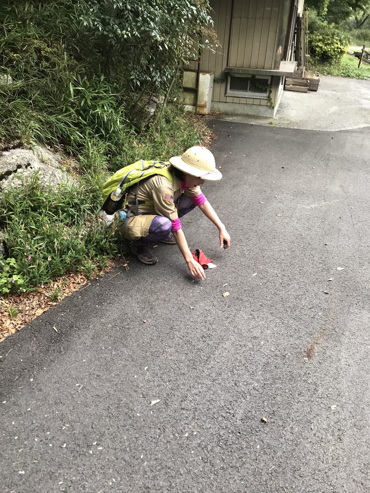 クーデターを阻止せよ Lan太郎さんの中山道 関ヶ原宿 柏原宿 醒井宿 の活動日記 Yamap ヤマップ
