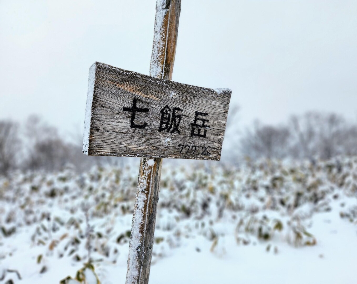 七飯岳〈七飯町〉 / かつさんの七飯岳の活動データ YAMAP / ヤマップ