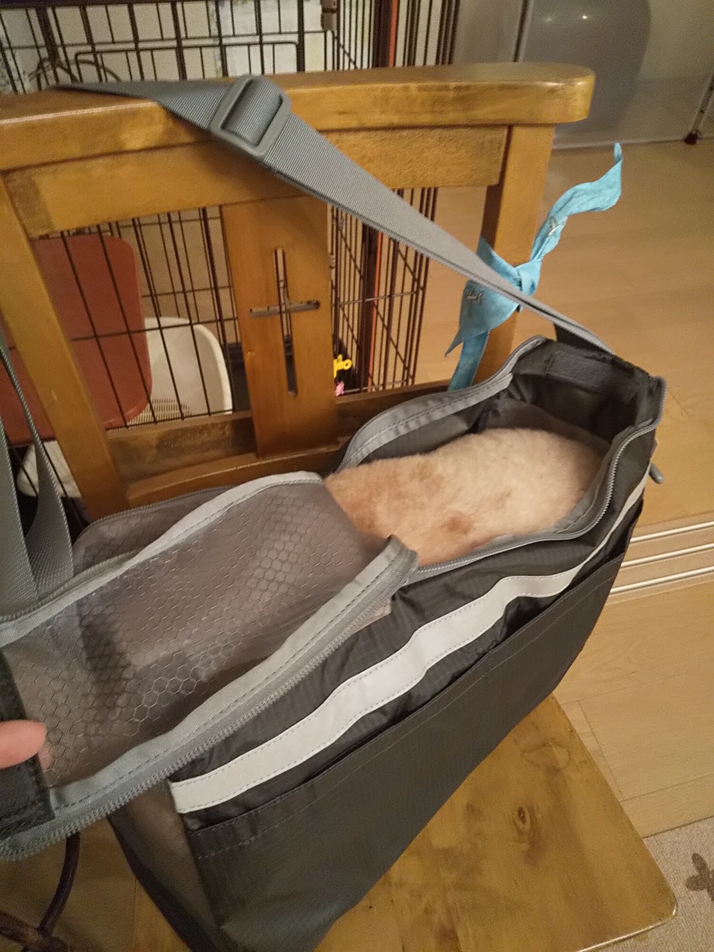 モンベルのドッグキャリングショルダーを購 / yuki さんの