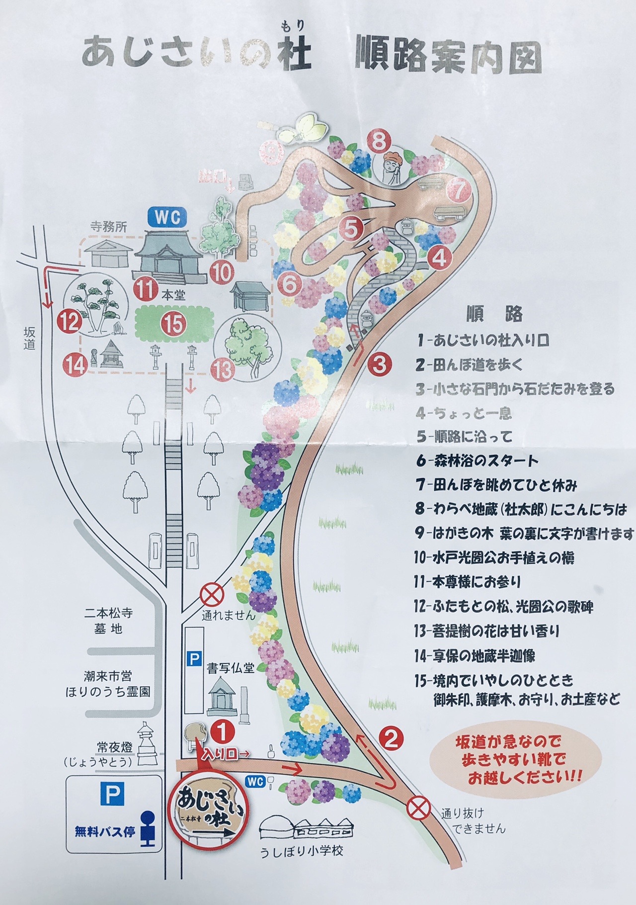 青空の欠片 紫陽花ブルー を求めて二本松寺散策 三人息子のママさんの潮来市の活動日記 Yamap ヤマップ