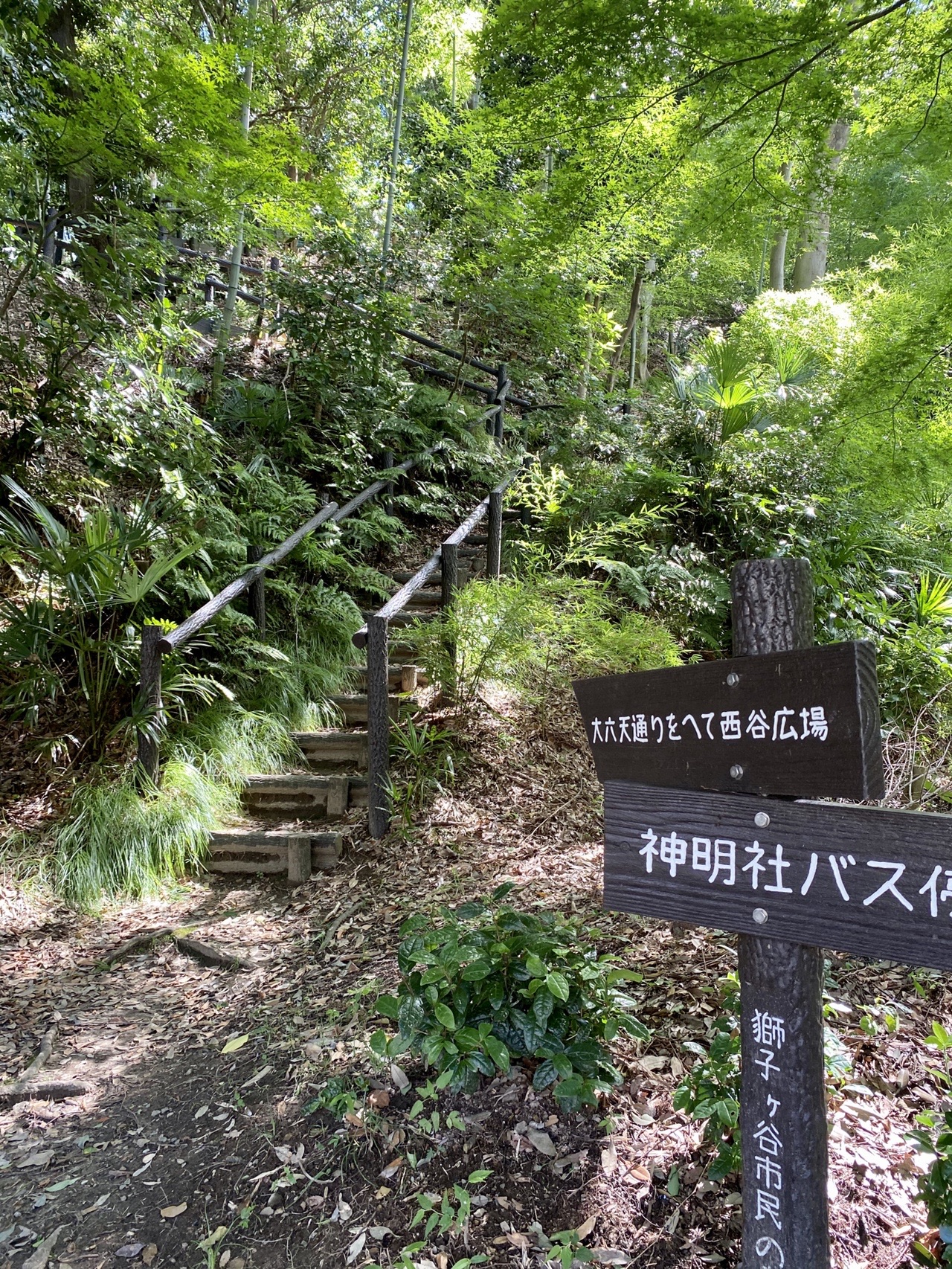 トレッサ 獅子ヶ谷市民の森 大倉山 黒湯銭湯 マツさんの横浜市 北エリアの活動データ Yamap ヤマップ