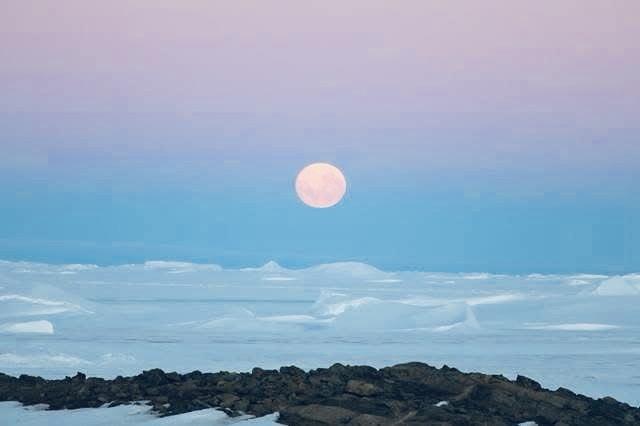 彼の地は、極夜を明けている頃と、思いを馳... / トラボルタさんのモーメント | YAMAP / ヤマップ