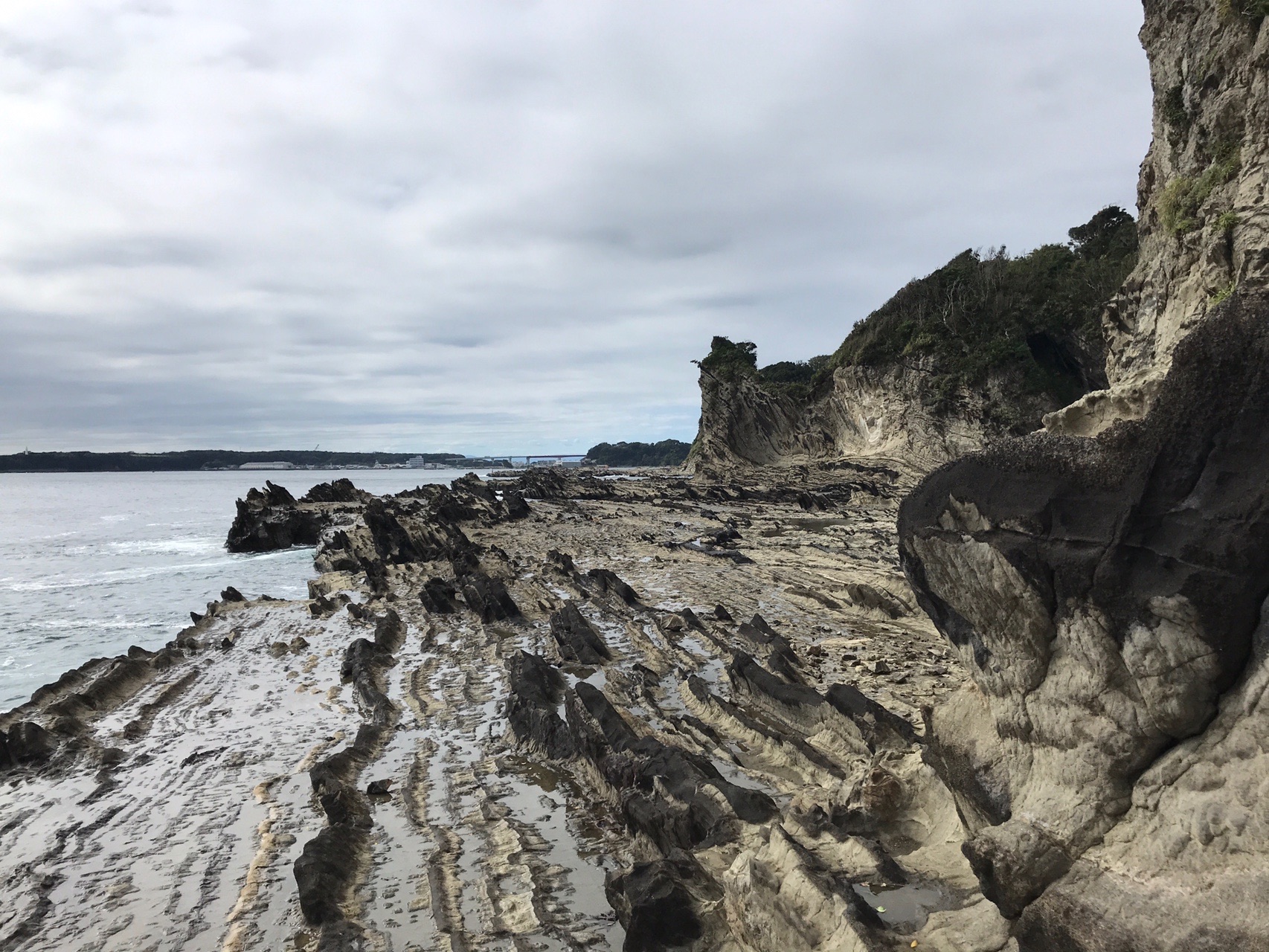 油壺から城ヶ島を目指す げるかとさんの三浦市の活動データ Yamap ヤマップ