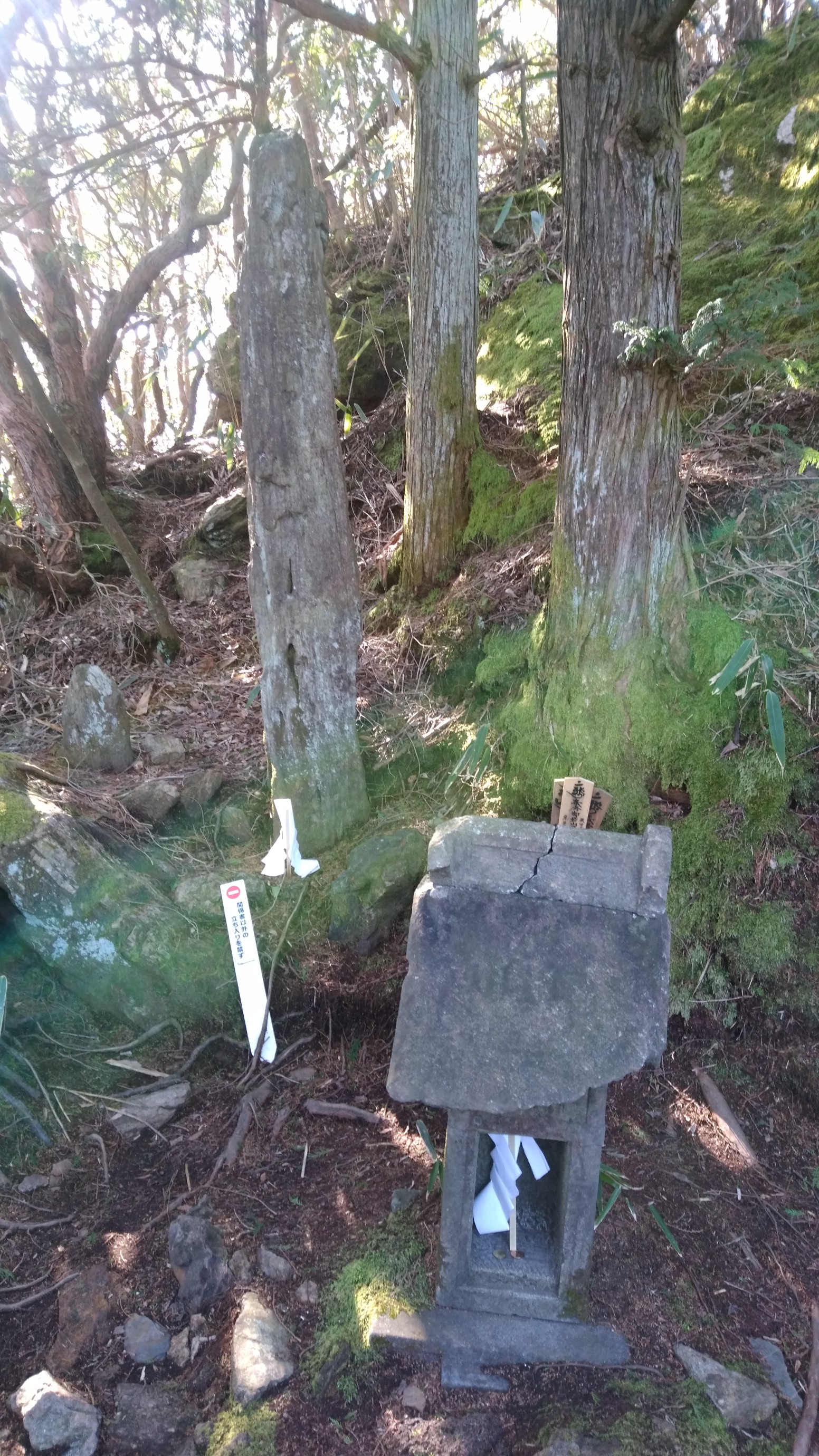 御岩神社 03 19 ようすけさんの日立アルプストレイル 神峯山の活動データ Yamap ヤマップ