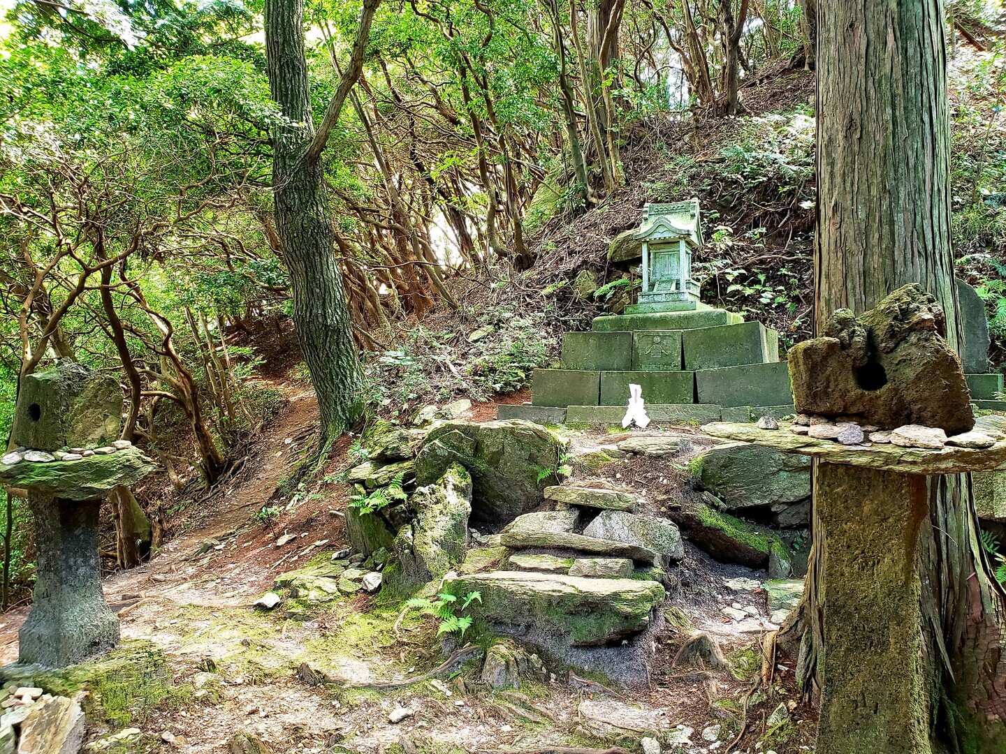 最強ｸﾗｽのﾊﾟﾜｽﾎﾟ御岩山 叢雲 さんの日立アルプストレイル 神峯山の活動日記 Yamap ヤマップ