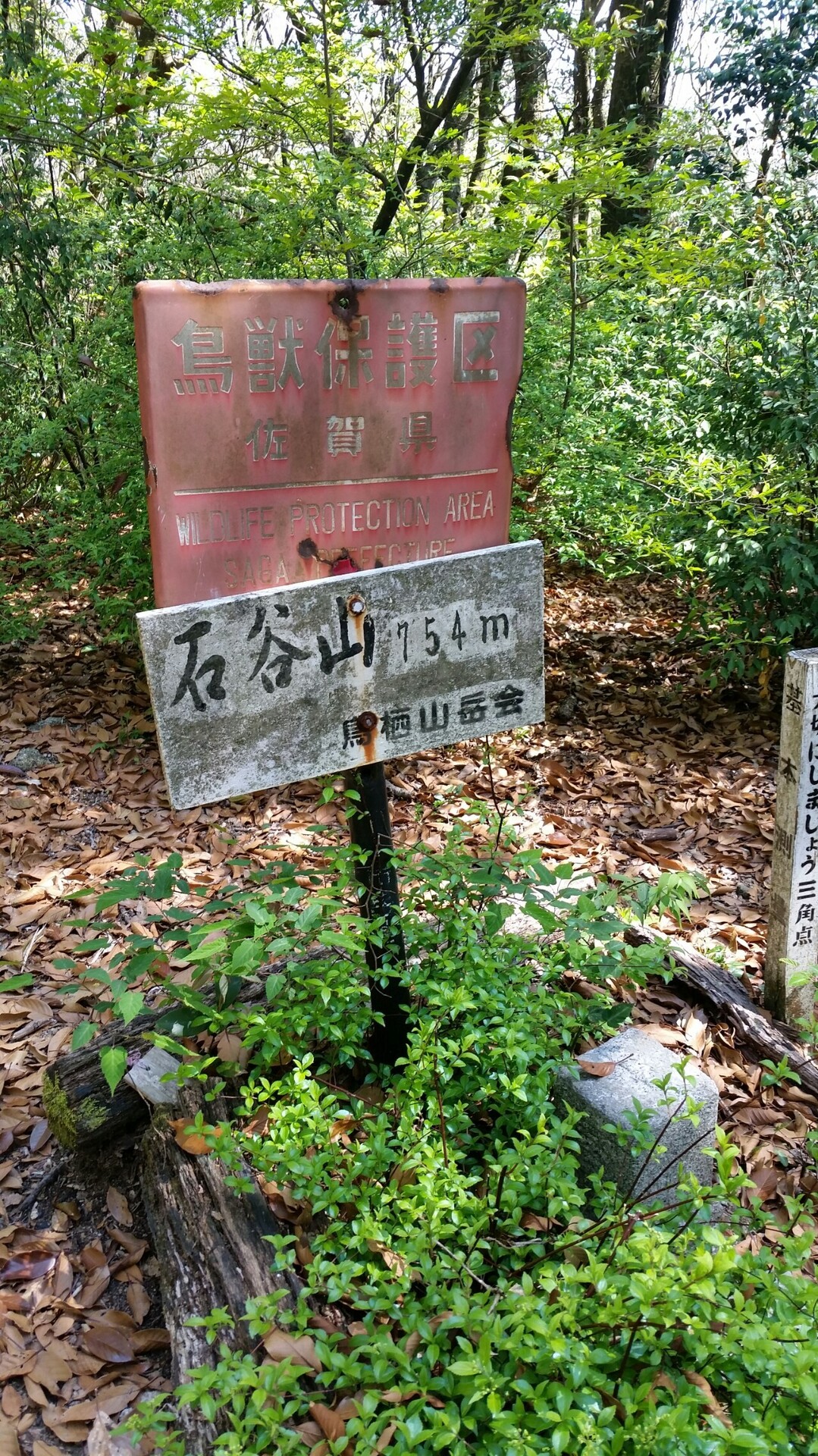 サンサン山倶楽部 たんたんたぬきさんの脊振山 金山の活動日記 Yamap ヤマップ