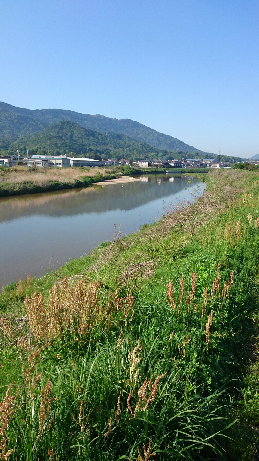 野呂山までのウォーキング Chuuさんの呉市 西エリア の活動日記 Yamap ヤマップ