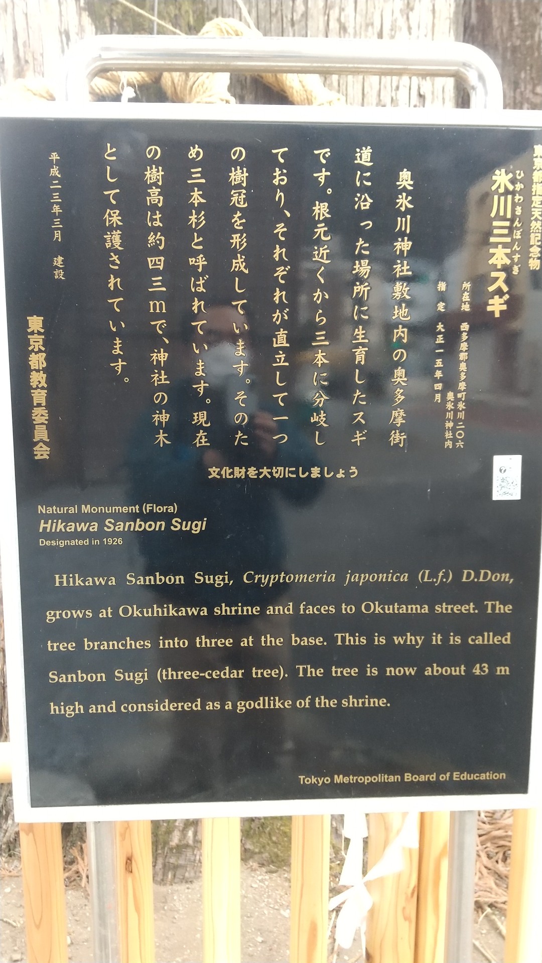 鷹ノ巣山 霧氷花 Maddogさんの雲取山 鷹ノ巣山 七ツ石山の活動日記 Yamap ヤマップ