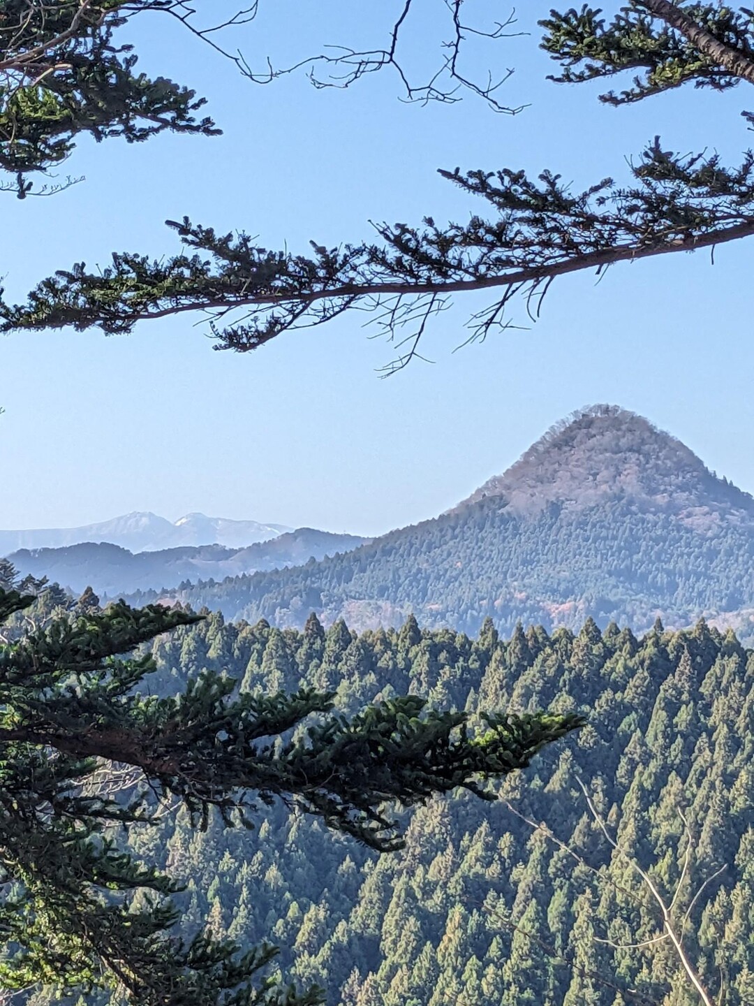 久しぶりの治山の森 / seymour さんの太白山・萱ヶ崎山・蕃山の活動データ YAMAP / ヤマップ