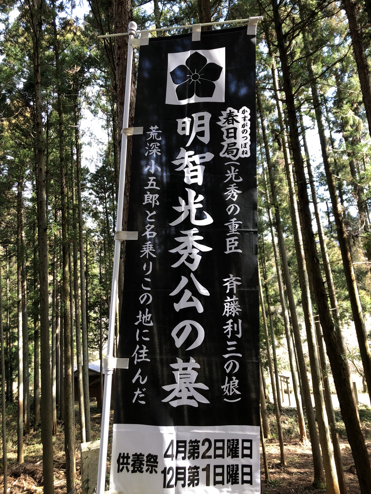 桔梗塚と大桑城 岐阜県山県市 03 03 いっし さんの古城山の活動日記 Yamap ヤマップ