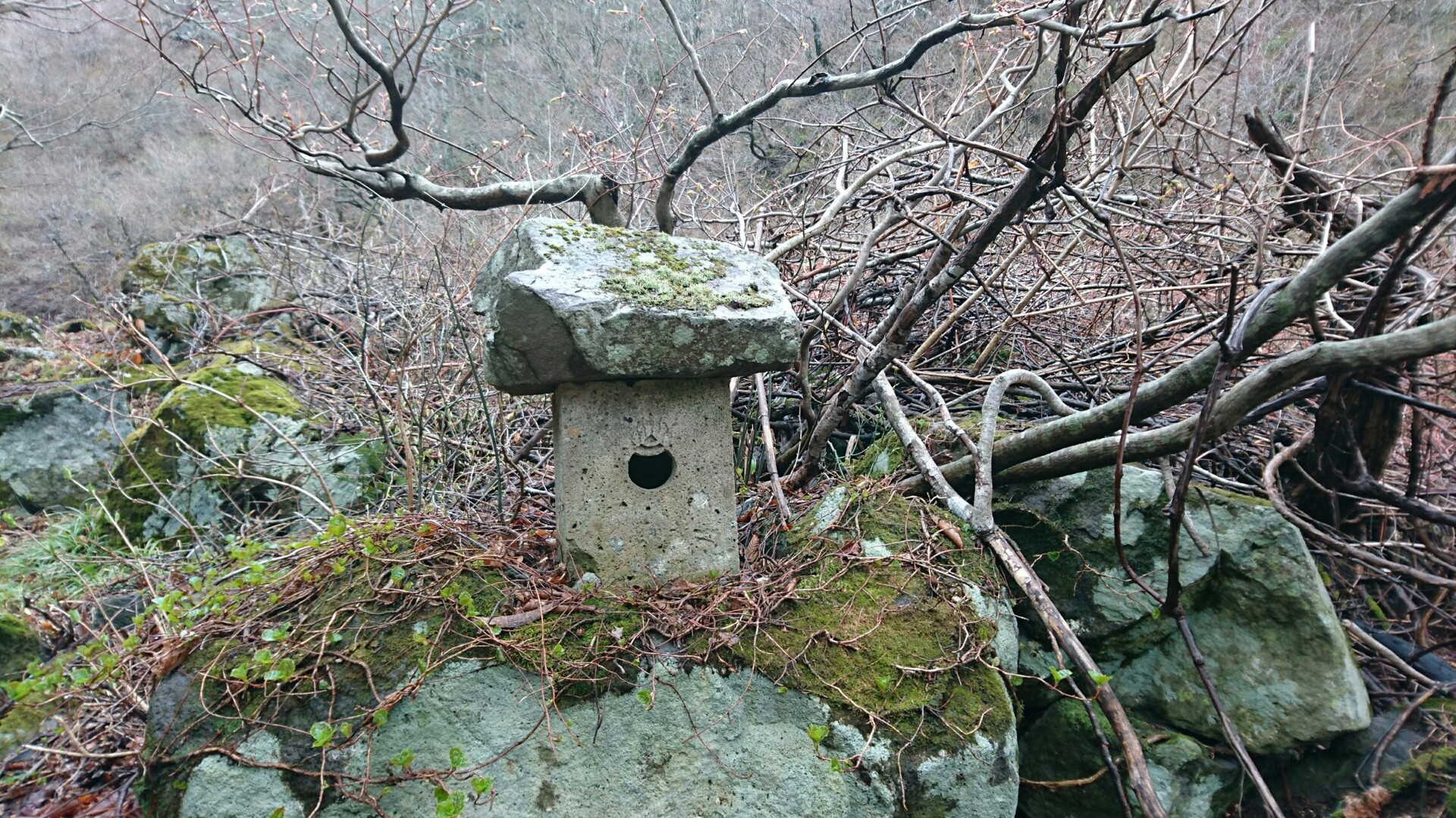 瀬ノ原山 まちゃやんさんの山形市の活動日記 Yamap ヤマップ