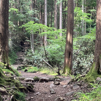 駐車場に到着したら団体さんが下山してきました☺︎邪魔にならぬよう
みなさんが全員駐車場に到着するのを確認してスタートします♪