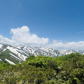 下山したら晴れるパターンwww