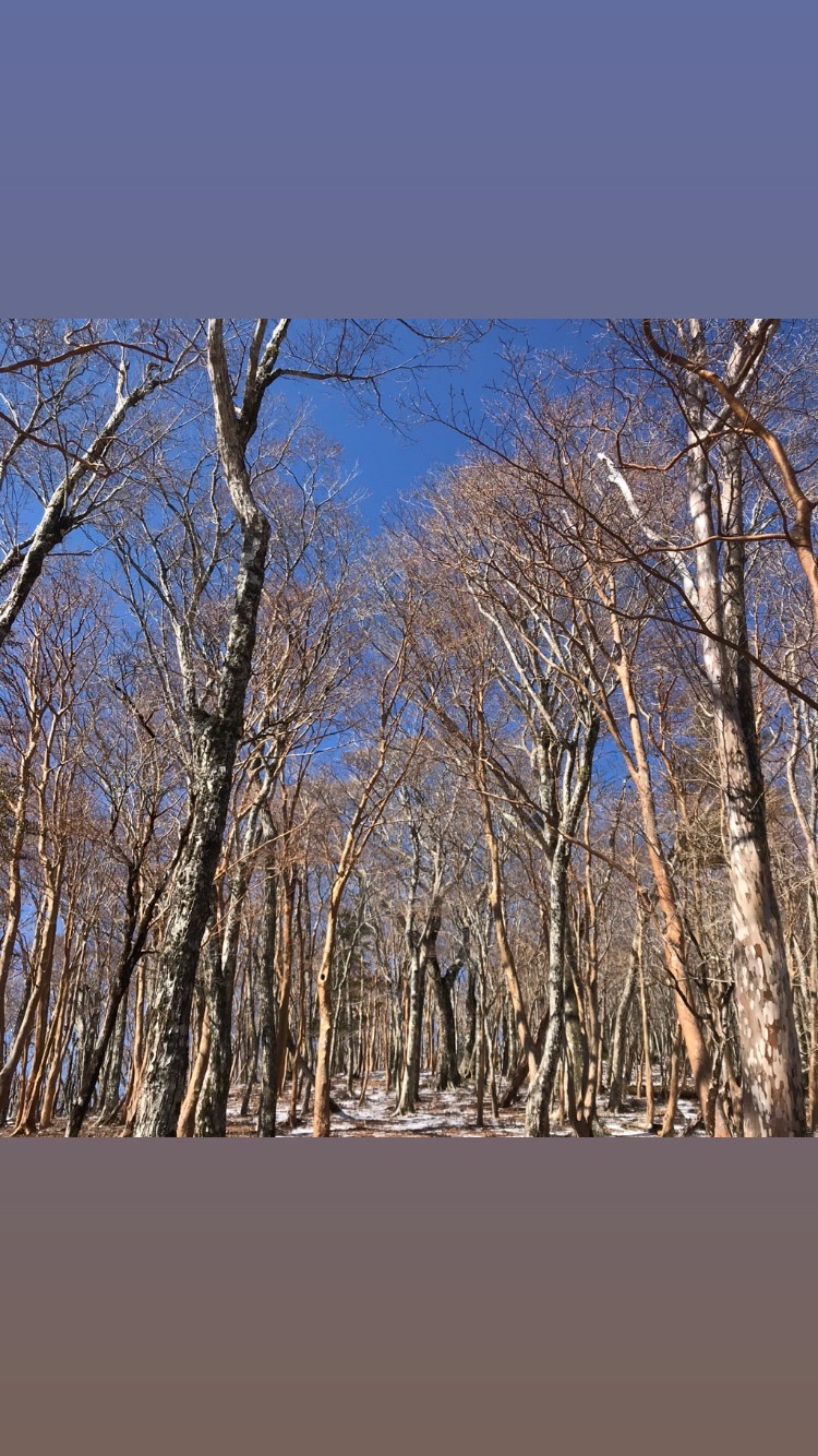 鹿納山 夏木山 要山 鹿の子山 五葉岳 お姫山 鹿納の野 鹿納山 Pumpkingさんの大崩山 五葉岳 新百姓山の活動日記 Yamap ヤマップ