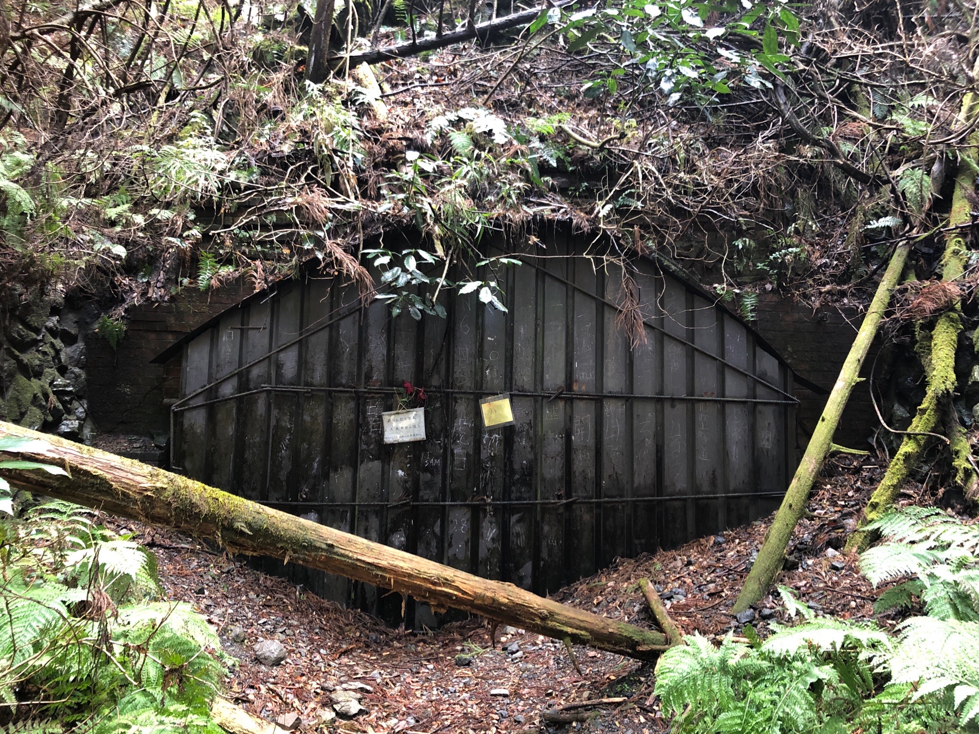 旧吹上トンネルから青梅中央アルプス裏銀座西半分 Tatmushiさんの高水山 岩茸石山 惣岳山の活動データ Yamap ヤマップ