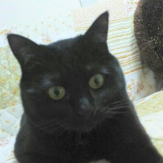 ひで