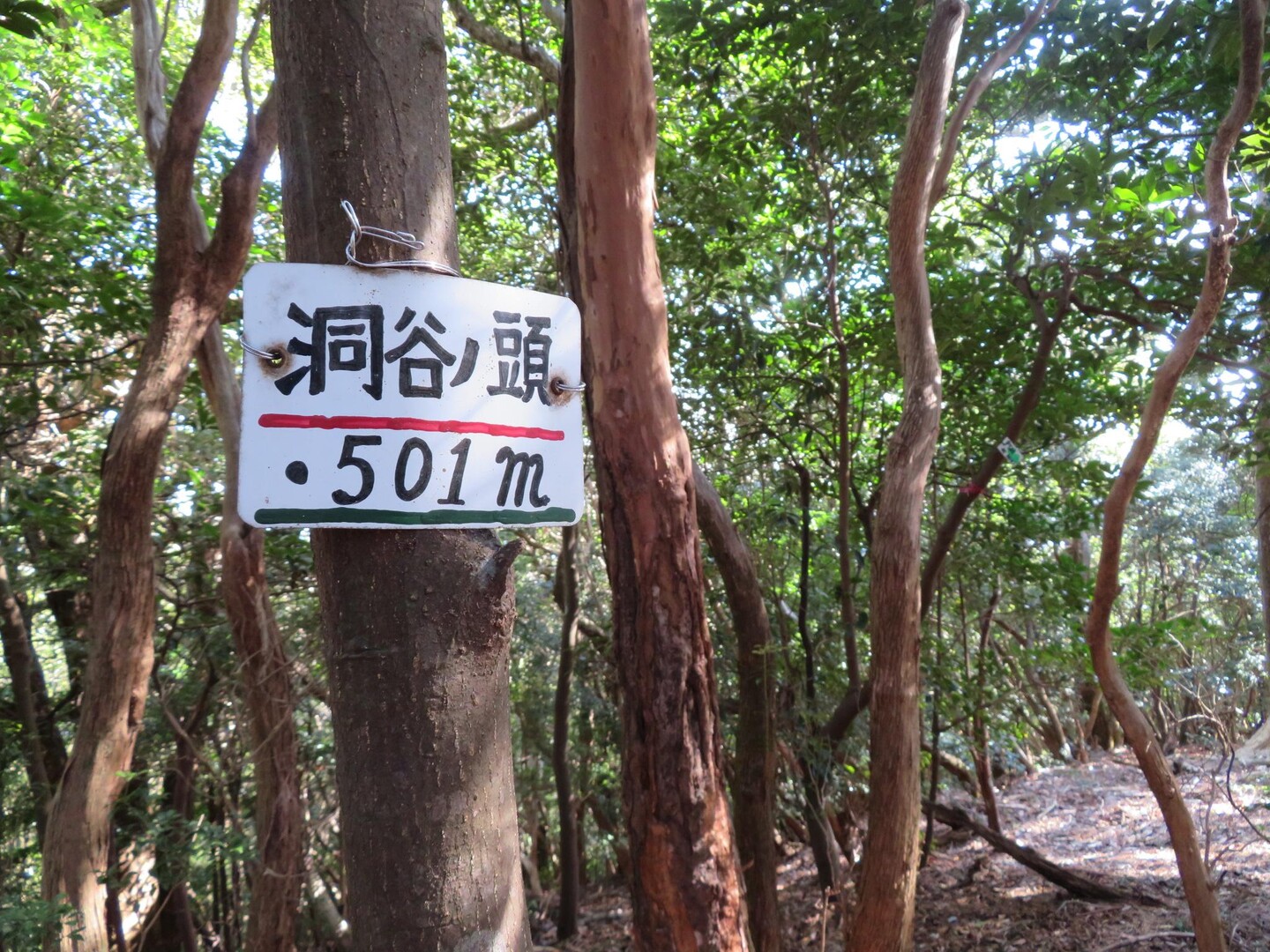 牛草山登山口(鍛冶屋）から広谷西峰・洞谷ノ頭へ / さなりんさんの牛草山・神岳の活動データ | YAMAP / ヤマップ