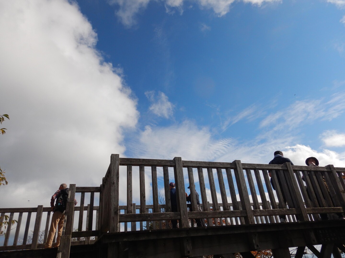 愛知県最高峰の茶臼山 / じいじさんの茶臼山・萩太郎山の活動データ YAMAP / ヤマップ