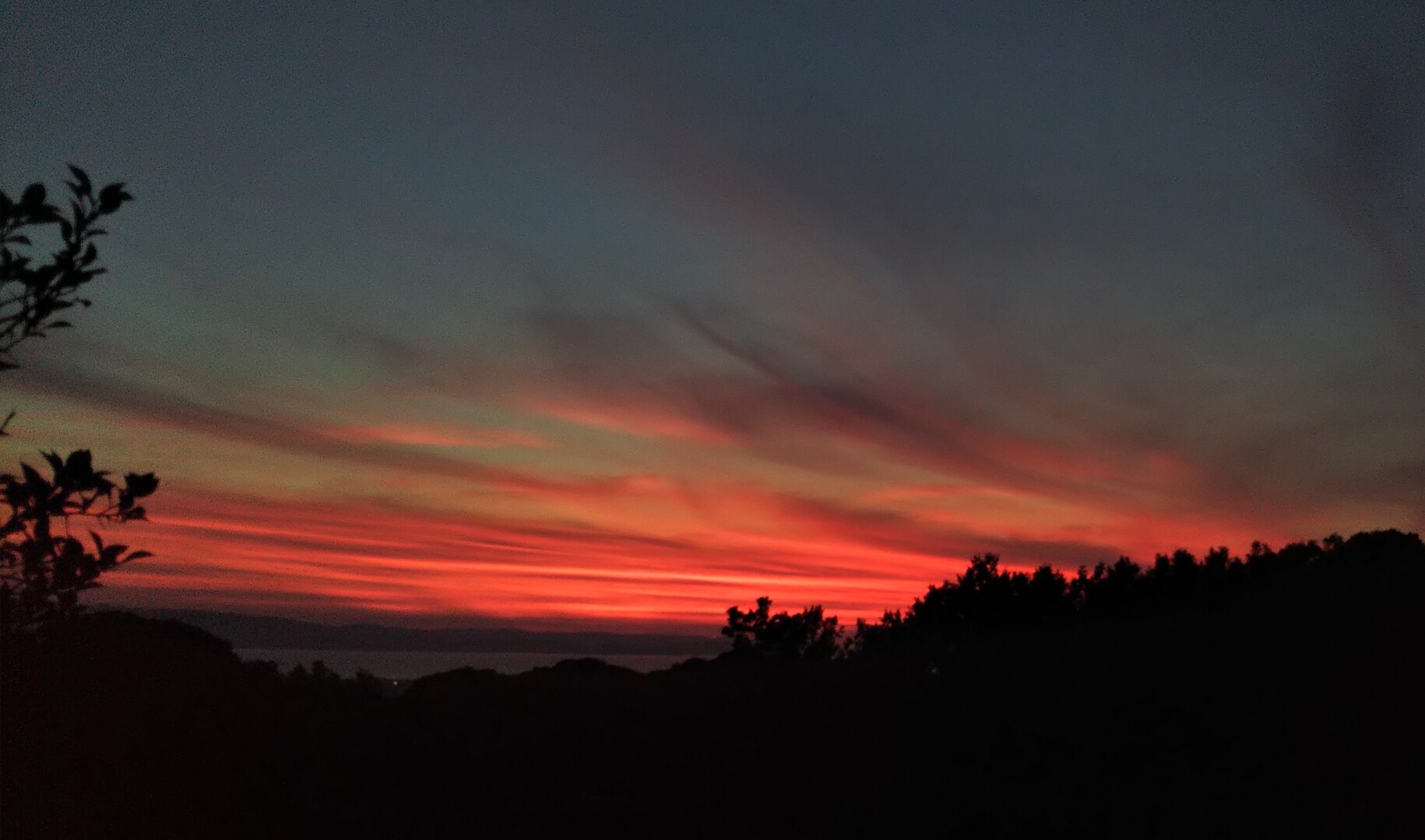 まさかの 呪いがえし 今 庭に ひろちゃんさんのモーメント Yamap ヤマップ