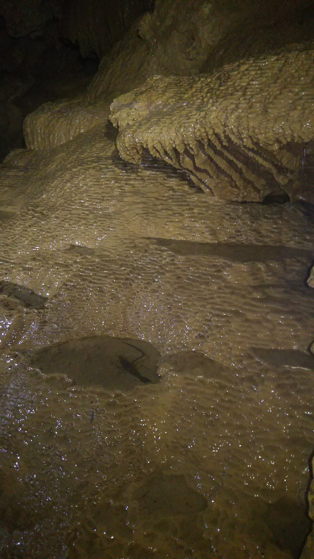 西船付の滝 19 08 11 Taicyouさんの西表島の活動日記 Yamap ヤマップ