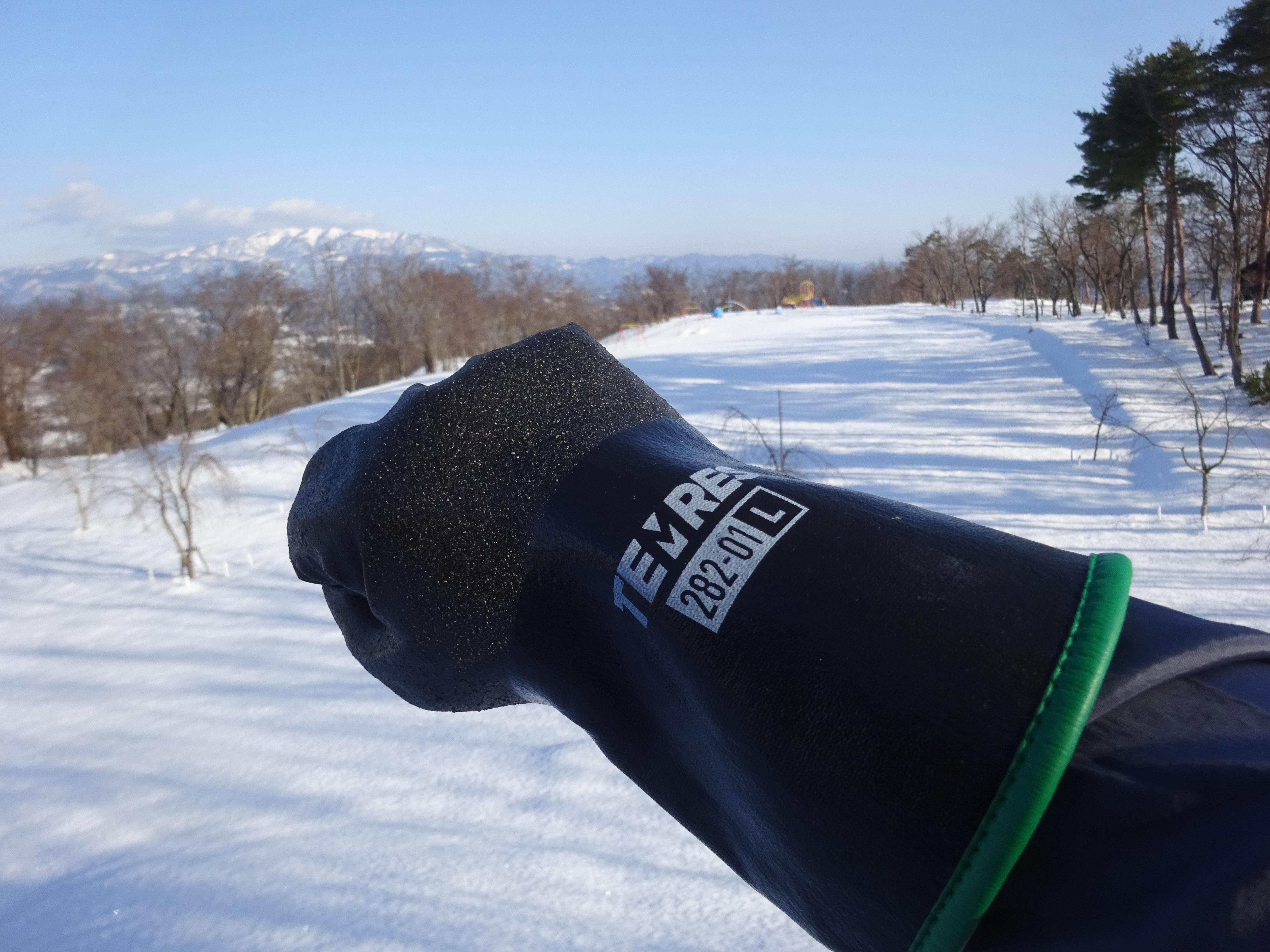 見せてもらおうか 最強防寒手袋のテムレスブラックの性能とやらを でかたるさんの寒河江市の活動データ Yamap ヤマップ