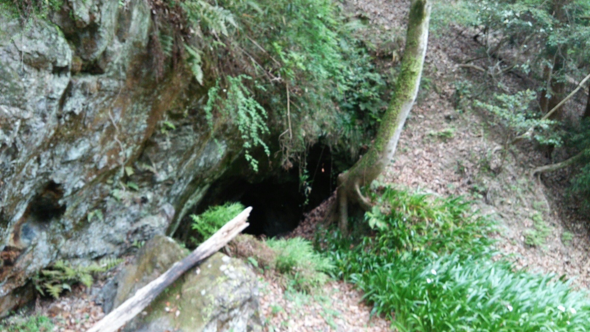 普通歩かない道を辿る 箕面駅 地獄谷 才ケ原池 谷山谷 茶長阪川渡川 茶長阪谷 勝尾寺南山 茶園谷 ｇ９ポイント 廃坑跡 白島 やゆさんの六個山 鉢伏山 明ヶ田尾山 五月山の活動日記 Yamap ヤマップ