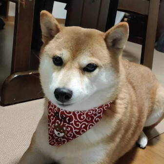 ありやん