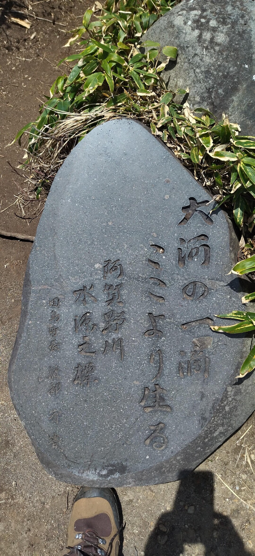 荒海山（太郎岳） / 眠らない猫さんの荒海山・芝草山の活動データ YAMAP / ヤマップ