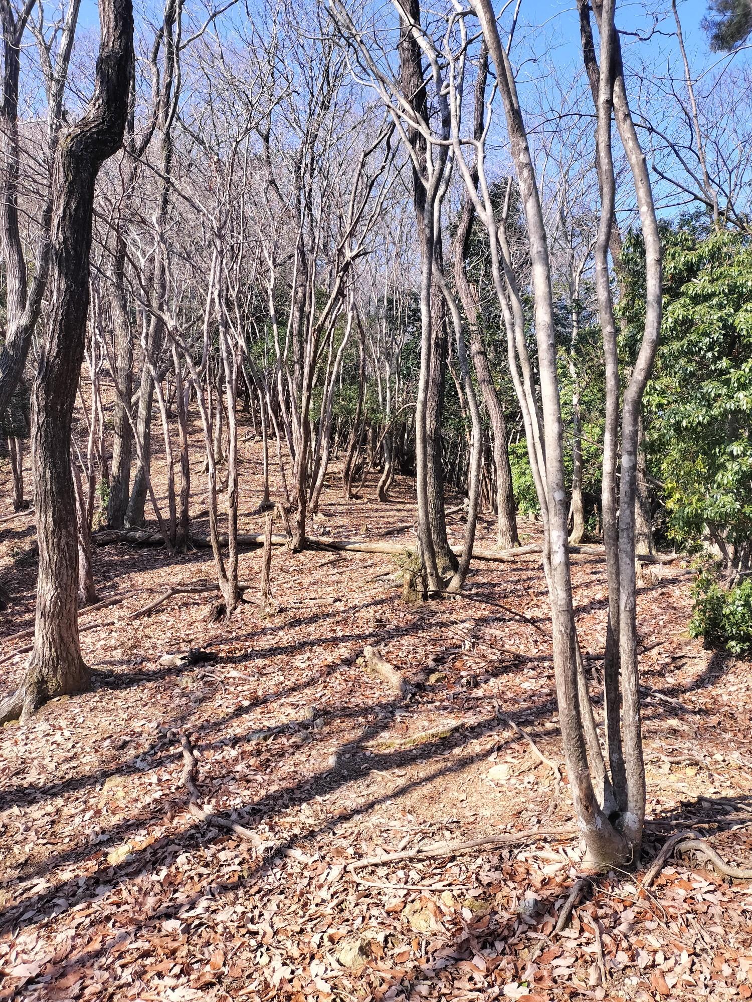 西ノ山 / inojunさんの中山道（赤坂宿・関ヶ原宿）の活動データ | YAMAP / ヤマップ