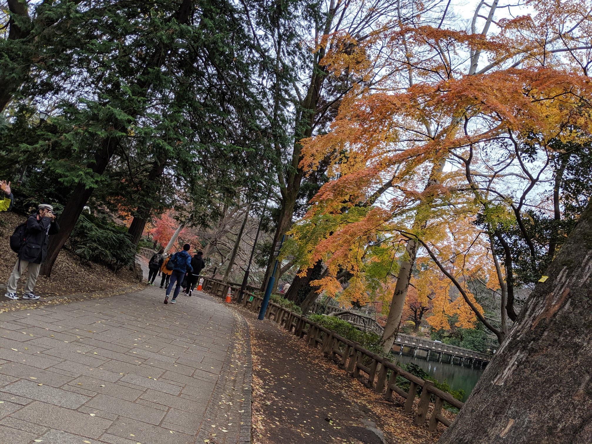 武蔵野散歩 Ruckingmission Musashinowalking Riumamaさんの東京都23区 西エリアの活動データ Yamap ヤマップ