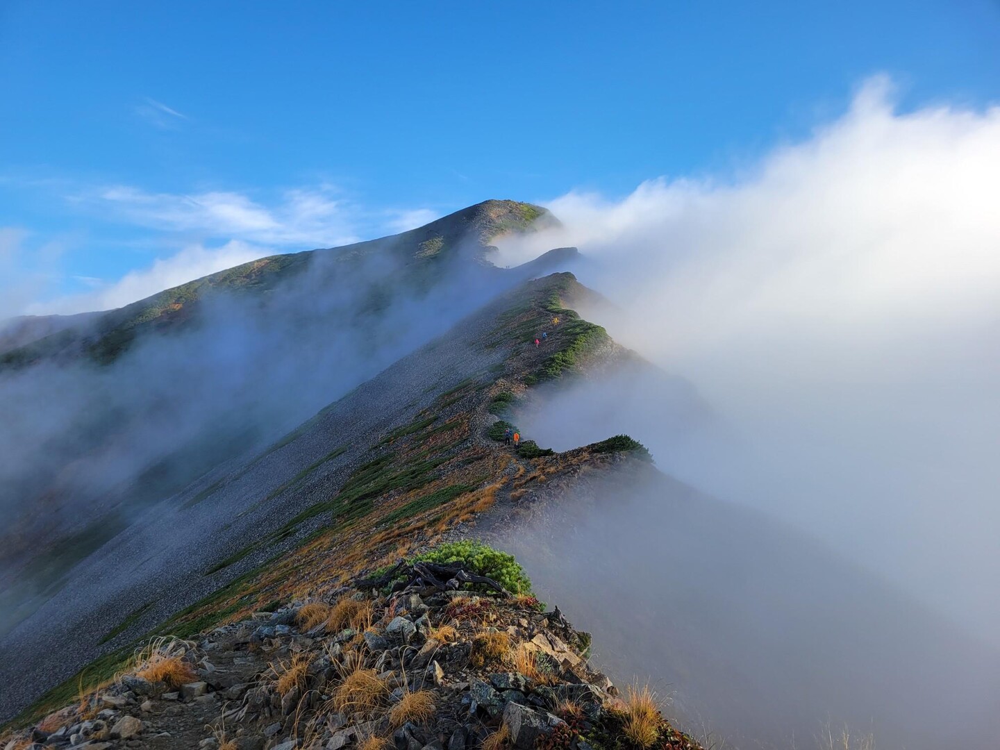 日本三百名山『爺ヶ岳』🗻日本百名山『鹿島槍ヶ岳&五竜岳』🗻 / かしかさんの鹿島槍ヶ岳・五竜岳（五龍岳）・唐松岳の活動データ YAMAP
