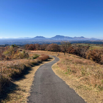 コキアは終わっていたのか？なかったのか…不明😅